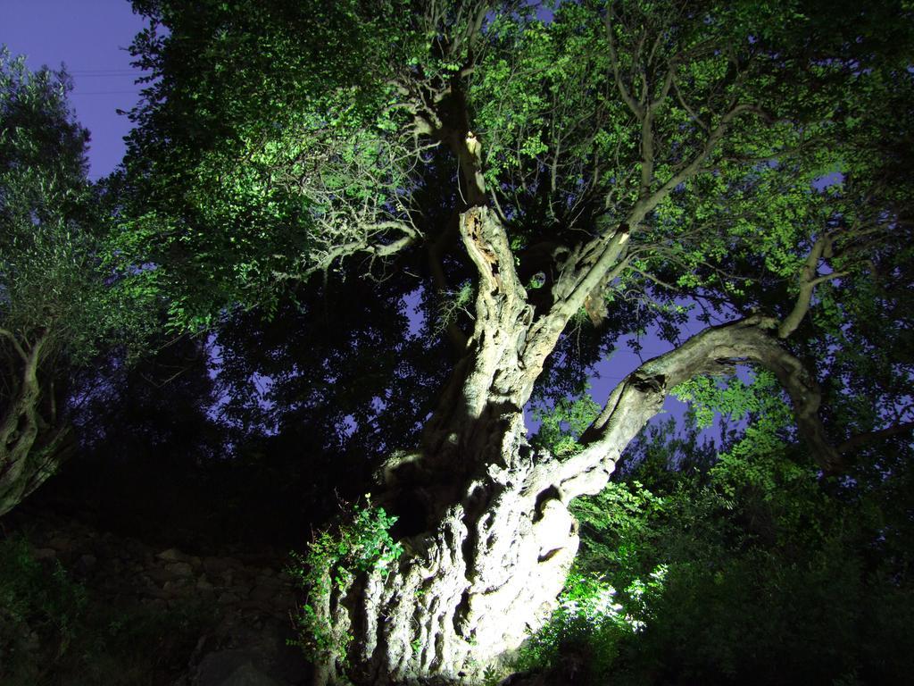 La Carruba