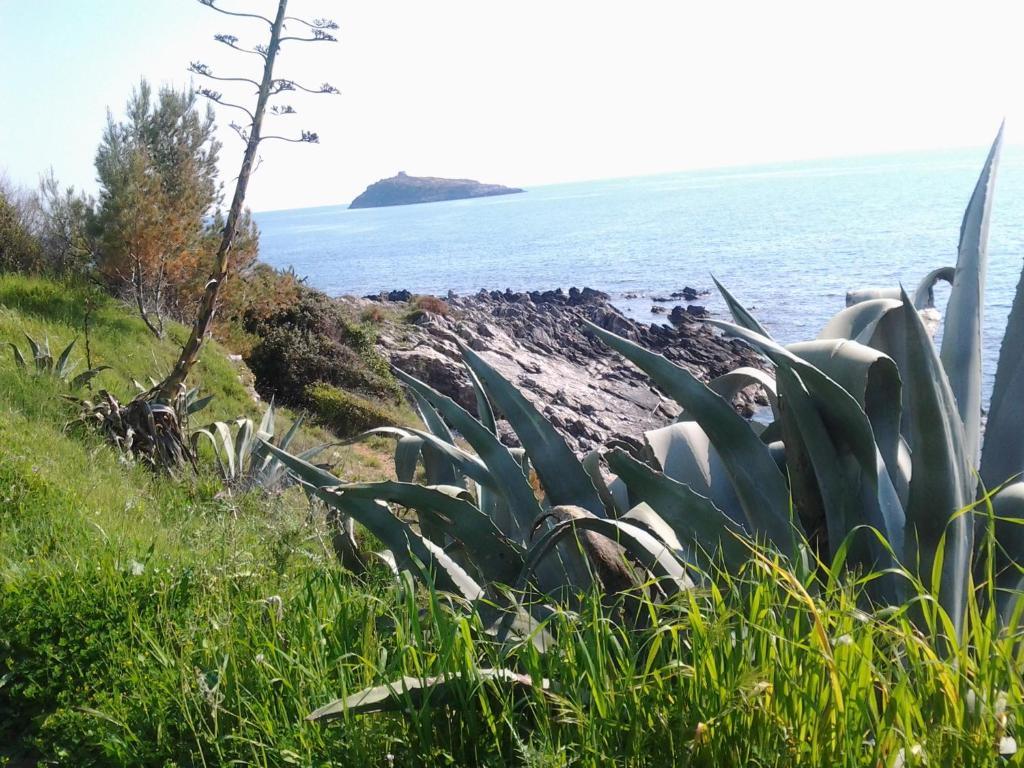 Hotel La Carruba Cetraro