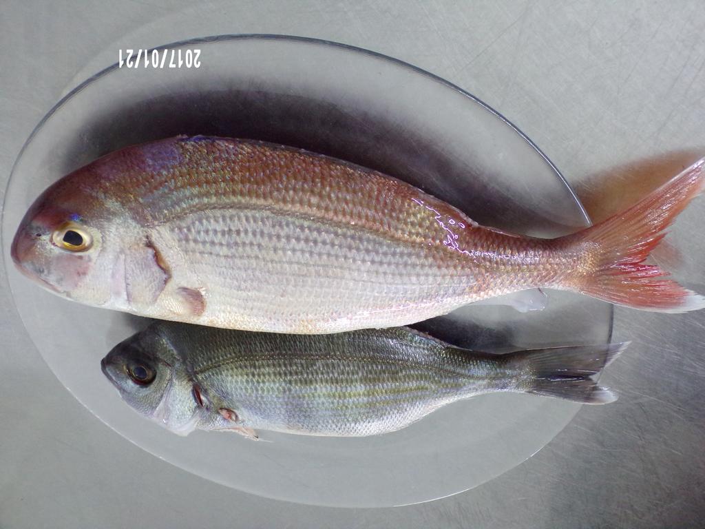 La Carruba